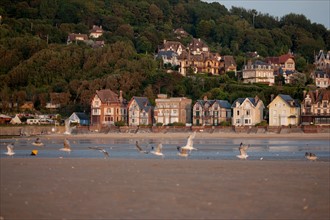 Houlgate, Plage