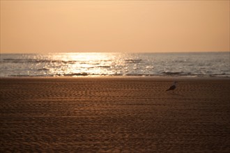 Houlgate, Plage