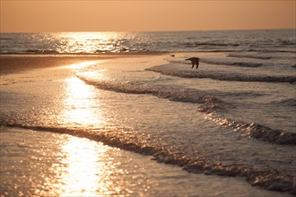 Houlgate, Plage