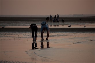 Houlgate, Plage