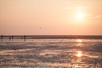 Houlgate, Plage