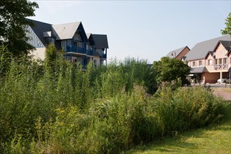 Saint Arnoult,