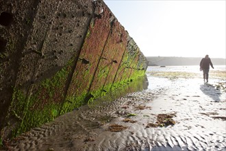 Bessin, Plages Du Débarquement