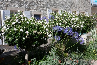 Bessin, Plages Du Debarquement