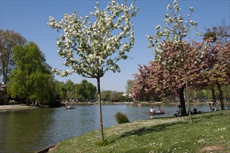 Bois De Vincennes, Lac Daumesnil
