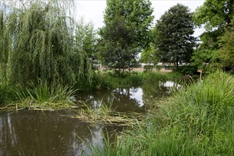 Bois De Boulogne, Riviere A  Proximite D El Hippodrome De Longchamp