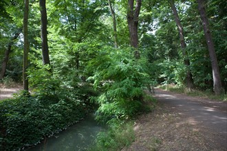 Bois De Boulogne, Bosquet