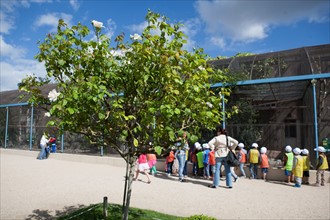 Jardin d'Acclimatation, Grande Volière