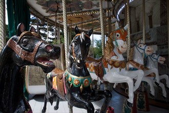 Jardin d'Acclimatation, Attractions