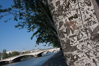 Quai Francois Mitterrand (Quai Des Tuileries) Berges de Seine, Arbre Grave De Messages D'Amour