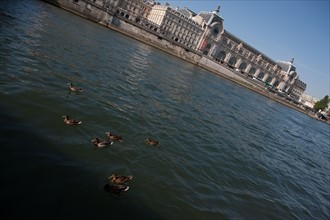 Quai Des Tuileries, Face Au Musée D'Orsay