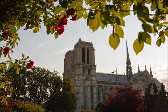 Square Rene Viviani, Face A Notre Dame De Paris