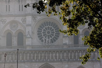 cathedrale Notre-Dame de Paris, art gothique et neo gothique