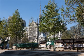 5e Arrondissement, Square Rene Viviani