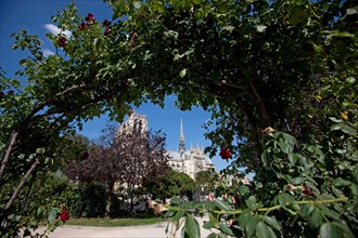 5e Arrondissement, Square Rene Viviani