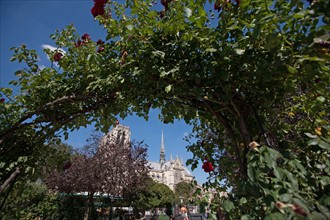 5e Arrondissement, Square Rene Viviani