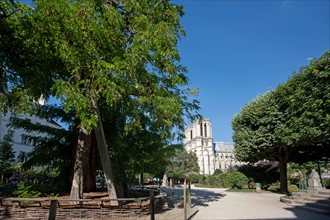 5e Arrondissement, Square Rene Viviani