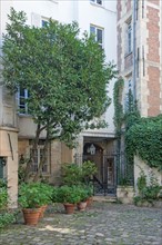 3 Cour De Rohan,  Georges Bataiille Y Habitat (Chez Balthus)