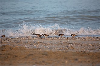 Deauville hors saison