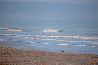 Deauville hors saison