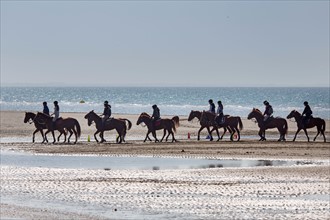 Villers-sur-Mer, chevaux et poneys sur la plage