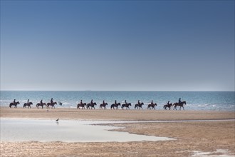 Villers-sur-Mer, chevaux et poneys sur la plage