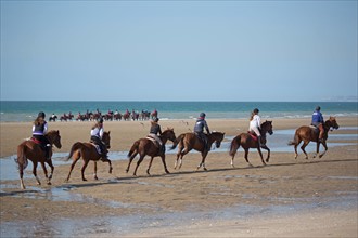 Villers-sur-Mer, chevaux et poneys sur la plage