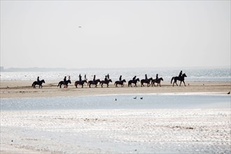 Villers-sur-Mer, chevaux et poneys sur la plage