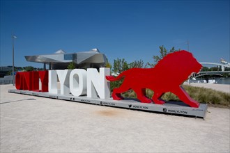 Lyon, musee des Confluences