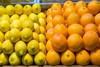 Citrons et oranges