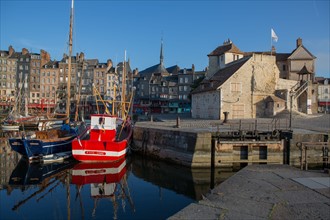 Honfleur, vieux bassin