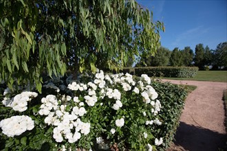 Honfleur, Jardin des Personnalités