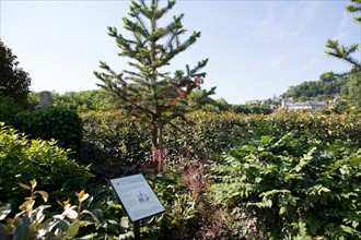 Honfleur, Jardin des Personnalités