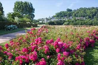 Honfleur, Jardin des Personnalités