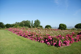 Honfleur, Jardin des Personnalités