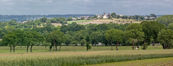 Panorama sur le village d'Ardevon et les champs