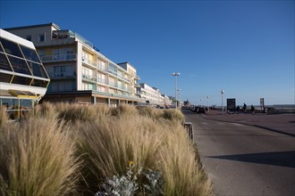 Berck Plage