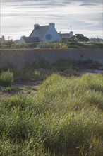 Pointe de Penmarc'h, Finistère Sud