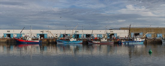 Port de Saint-Guénolé, Finistère Sud