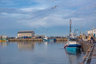 Port de Saint-Guénolé, Finistère Sud