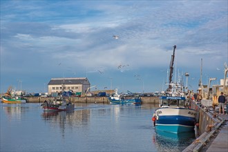 Port de Saint-Guénolé, Finistère Sud