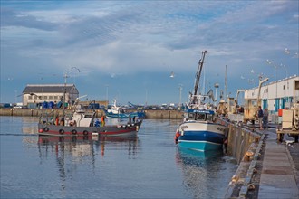 Port de Saint-Guénolé, Finistère Sud