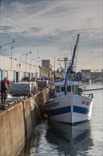 Port de Saint-Guénolé, Finistère Sud