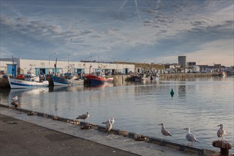 Port de Saint-Guénolé, Finistère Sud