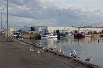 Port de Saint-Guénolé, Finistère Sud