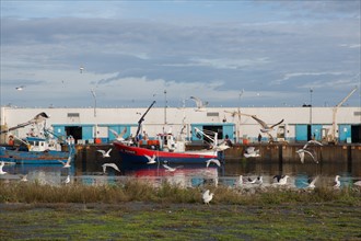 Port de Saint-Guénolé, Finistère Sud