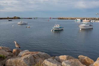 Port de Saint-Guénolé, Finistère Sud