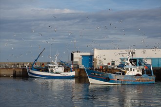 Port de Saint-Guénolé, Finistère Sud