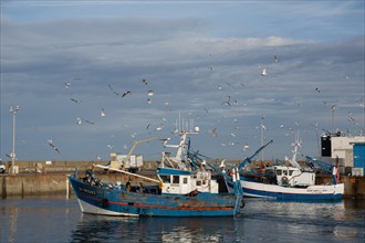 Port de Saint-Guénolé, Finistère Sud