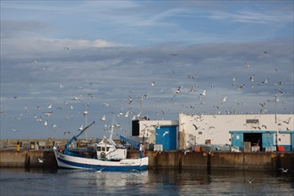 Port de Saint-Guénolé, Finistère Sud